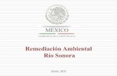 Remediación Ambiental Río Sonora - gob.mx · Río Sonora, correspondiente al período septiembre-diciembre. El PIB per cápita mensual subió de 840 a 8,198 pesos A la fecha, los