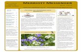 Merriott Messenger - Microsoftbtckstorage.blob.core.windows.net/site1271/Messenger/May 2015.pdf · Merriott Messenger MAY 2015 Photograph of the month Send your photo to: merriottmessenger@gmail.com
