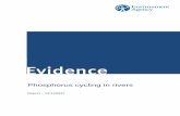 Phosphorus cycling in rivers - gov.uk · British Geological Survey Project Number: SC120037 . Phosphorus cycling in rivers iii Evidence at the Environment Agency Evidence underpins