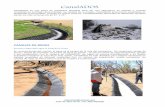 CanalADOS - Programa Subsectorial de Irrigaciones - PSI · canales revestidos de concreto existentes. Con un mínimo de preparación, puede reemplazar los canales de riego de tierra
