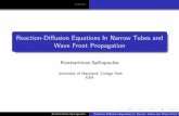 Reaction-Diffusion Equations In Narrow Tubes and …math.bu.edu/people/kspiliop/GraduationConference2008UMD.pdfWave Front Propagation in Narrow Tubes Description of the problem Characterization