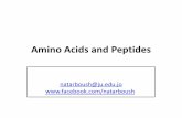 Amino Acids and Peptides - Med Study Groupmsg2018.weebly.com/.../amino_acids_and_peptides_-_ju.pdfGeneral rules for amino acid ionization • Aromatic amines like His have a pK about