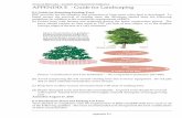 APPENDIX E - Guide for Landscaping - Siler Citysilercity.org/vertical/sites/{3856B9B8-1C42-483B-A4CB...APPENDIX E - Guide for Landscaping E-1 Guide for Protecting Existing Trees 307