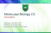 Molecular Biology (7) · Molecular Biology (7) Transcription Mamoun Ahram, PhD Walhan Al-Shaer, PhD Second semester, 2019-2020 1. Resources This lecture Cooper, Ch. 4, pp. 119-120,