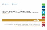 Forests and Water: Valuation and Payments for Forests ...€¦ · Forests and Water: Valuation and Payments for Forests Ecosystem Services a study paper Presentation for the Workshop