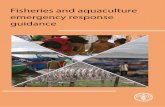 Fisheries and aquaculture emergency response guidance · 13 Emergency response in fisheries and aquaculture 13 Emergency response objectives – building back better 13 A holistic