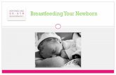 Breastfeeding Your Newborn · Milk Composition Colostrum (First stage of Milk) Early days after birth Small amount, thick, yellow, sticky Protein rich, low fat, low sugar, packed