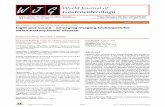 Light and sound - emerging imaging techniques for ... · THE-ART International consensus guidelines and recommen-dations for inflammatory bowel disease, including its surveillance