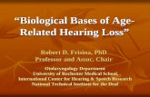 “Biological Bases of Age- Related Hearing Loss” · “Biological Bases of Age- -Related Hearing Loss” Robert D. Frisina, PhD , PhD Professor and Assoc. Chair Otolaryngology