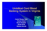 Umbilical Cord Blood Banking System in Virginiadls.virginia.gov/groups/stemcell/meetings/111505/CordBlood.pdf · Florida’s Program zEstablishes the Public Cord Blood Tissue Bank