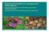 Enhancing the Edibility of Landscapes with Native Species · 2013-03-12 · Enhancing the Edibility of Landscapes with Native Species Presented by Russ Cohen at the 2013 RI Land and