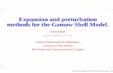 Expansion and perturbation methods for the Gamow Shell Model. · Expansion and perturbation methods for the Gamow Shell Model. Gaute Hagen gaute.hagen@fys.uio.no Centre of Mathematics