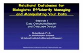 Relational Databases for Biologists: Efficiently Managing ...barc.wi.mit.edu/education/bioinfo2005/db4bio/lecture1_color.pdf · What is a Database? •A collection of data •A set
