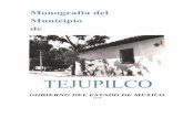 TEJUPILCO - Monografiasmexiquenses · 2017-12-13 · TEJUPILCO-MONOGRAFIA 13 somate o jómate y Xumate y aun de chúmate. (Garibay). MAZATEPEC.- Maza-tepec, "pueblo o cerro de los