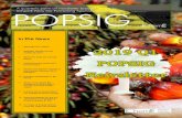 IChemE POPSIG Newsletter Issue 11 · 2019-05-06 · IChemE POPSIG Newsletter Issue 11 4 Someone recently suggested that “it is time to migrate from palm oil cultivation” because