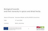 Biological hazards and their tenacity in spices and dried ...€¦ · Method Pro‘s Con‘s Suitable Used Freeze-drying + Direct -Impact on tenacity? + Air-drying + Natural -Adhesion