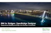 BIM for Bridges: OpenBridge Designer - Wild Apricot...7 |  | © 2019 Bentley Systems, Incorporated Level of Development of 3D Models Low