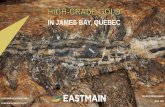 IN JAMES BAY, QUEBEC · RMX Rubicon Minerals Ontario $69 1.3 $54 PEA PRB Probe Metals Quebec/Ontario $69 3.2 $22 Resource TLG Troilus Gold Quebec $61 6.5 $9 Resource BAR Balmoral