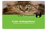 Cat Adoption · • A large, shallow uncovered litter box and a fine-grained litter or one that the cat has been using at Cat Haven. • Separate food and water bowls (stainless steel