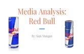 Media Analysis: Red Bull€¦ · Red Bull’s Media Spend Summary Red Bull tended to spend majority of their media allocation on Network TV, Cable TV and Outdoor ads. Continued to