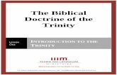 The Biblical Doctrine of the Trinity - Thirdmill · The Biblical Doctrine of the Trinity Lesson One: Introduction to the Trinity -2- For videos, study guides and other resources,