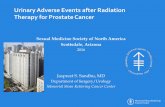 Urinary Adverse Events after Radiation Therapy for ... · Urinary Adverse Events after Radiation Therapy for Prostate Cancer Sexual Medicine Society of North America Scottsdale, Arizona