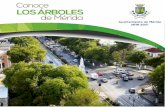 Conoce LOS ÁRBOLES de Mérida - Ayuntamiento de Mérida ...El 47% de los árboles miden menos de 5 m. Tamaño El 43% mide de 5 a 10 metros. El 10% de 10 a 20 metros. ... Todos tenemos