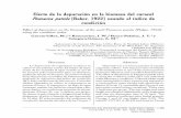 Efecto de la depuración en la biomasa del caracol Pomacea ...ww.ucol.mx/revaia/portal/pdf/2006/sept/5.pdf · sario de depuración para gastrópodos, el tiempo de depuración de 10