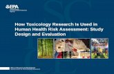 How Toxicology Research is Used in Human Health Risk ... · 1 • Introduction to animal toxicology and human health risk assessment (HHRA) Hazard identification Dose-response assessment