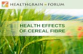 HEALTH EFFECTS OF CEREAL FIBRE · Hauner et al. Ann Nutr Metab. 2012;60 Suppl 1:1-58 Whole grain, dietary fibre, and disease - review Review and meta-analysis of 45 prospective cohorts