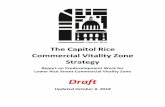Draft - Minnesota Rice CVZ Strategy v10... · 2020-02-21 · Draft . Updated October 9, 2018. Acknowledgements . ... (several locations including Transportation Building), Rivertown
