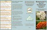 X Trees WHY SHOULD YOU CHOOSE KENTUCKY N plants in ... Health Informati… · The Kentucky Exotic Pest Plant Council lists 145 invasive plants with an additional 35 ... KYEPPC_2013list.pdf