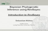 Bayesian Phylogenetic Inference using RevBayestreethinkers.org/wp-content/uploads/2019/05/1_RevBayes.pdf · Bayesian Phylogenetic Inference using RevBayes: Introduction to RevBayes.