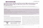 Comparative Study of Placental Morphometry and ... · PDF file Key words: Placenta, Placental histomorphology, Placental morphometry, Pre-eclampsia, Syncytial knot. The placenta stays