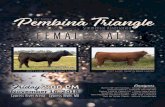 38TH ANNUAL - Transcon Livestocktransconlivestock.com/uploads/215sale.pdf · 38th annual pembina triangle simmental association female sale sales report friday, november 16, 2018