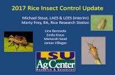 2017 Rice Insect Control Update - laca1.org...Insect pest management in 2017 •Prepare for the established pests-- Have a plan for managing rice water weevils-- Scout for rice stink