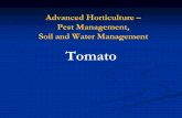 Tomato - University of California, Davis · Tomato – Soil Management ... Drip irrigation requirement between irrigations without inducing crop water stress Soil texture Irrigation