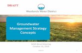 Draft - Groundwater Management Strategy Concepts · CONCEPT 4. Groundwater Management. Green, Yellow, and Red Zones-250-200-150-100-50. 0. 50. 100. 150. 200. Average Elevation of