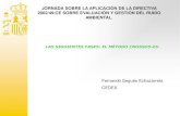 JORNADA SOBRE LA APLICACIÓN DE LA DIRECTIVA 2002/49/CE ...sicaweb.cedex.es/docs/jornadas/2014-11-27/Siguientes_Fases_FSegues.pdf · JORNADA SOBRE LA APLICACIÓN DE LA DIRECTIVA 2002/49/CE