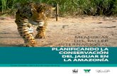 MEMORIAS DEL TALLER INTERNACIONAL Taller...nes de jaguar y de sus presas (muchas de ellas amenazadas por las actividades huma nas), así como por poblaciones humanas que necesitan