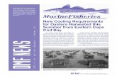 A Commonwealth of Massachusetts Agency New Cooling Requirements for Oysters … · 2017-08-24 · for Oysters Harvested this Summer from Eastern Cape Cod Bay ... of history. Massachusetts