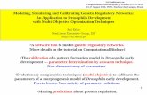 Modeling, Simulating and Calibrating Genetic Regulatory … · 2013-10-22 · Modeling, Simulating and Calibrating Genetic Regulatory Networks: An Application to Drosophila Development