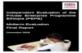 Independent Evaluation of the Private Enterprise …iati.dfid.gov.uk/iati_documents/47308963.pdfIndependent Evaluation of the Private Enterprise Programme Ethiopia (PEPE) Midterm Evaluation