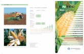 ENTEC® – PROGRAMA DE ABONADO Maíz · del cultivo. Mejor aprovechamiento del nitrógeno por el maíz: El nitrógeno estabilizado de los abonos ENTEC® permanece en el suelo, disponible