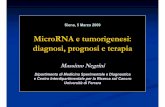 MicroRNA e tumorigenesi: diagnosi, prognosi e seminari... · PDF file MicroRNA e tumorigenesi: diagnosi, prognosi e terapia Massimo Negrini Dipartimento di Medicina Sperimentale e