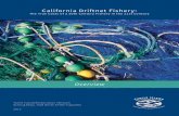Overview - Turtle Island Restoration Network...By Doug Karpa, Todd Steiner & Peter Fugazzotto SeaTurtles.Org 2015 California Driftnet Fishery: The True Costs of a 20th Century Fishery