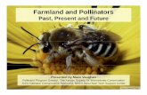 Farmland and Pollinators - Pollinator Partnership · Honey bees face unprecedented demandHoney bees face unprecedented demand. Worldwide insect pollinated crops are growing faster