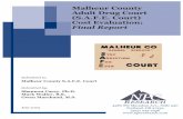 Malheur County Adult Drug Court (S.A.F.E. Court) Cost ......Malheur County Adult Drug Court (S.A.F.E. Court) Cost Evaluation: Final Report On January 18, 2001, Malheur County held