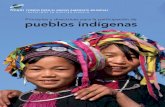 Principios y directrices para la participación de pueblos ... · También se definen mecanismos a través de los cuales el FMAM fortalece su participación con los pueblos indígenas5.