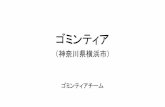 （神奈川県横浜市） ゴミンティア - WEB PARKpark.itc.u-tokyo.ac.jp/padit/cog2017/final/27_Idea_COG...地域課題 地区課題 区画課題 都市 近所 地域課題と区画課題は違う